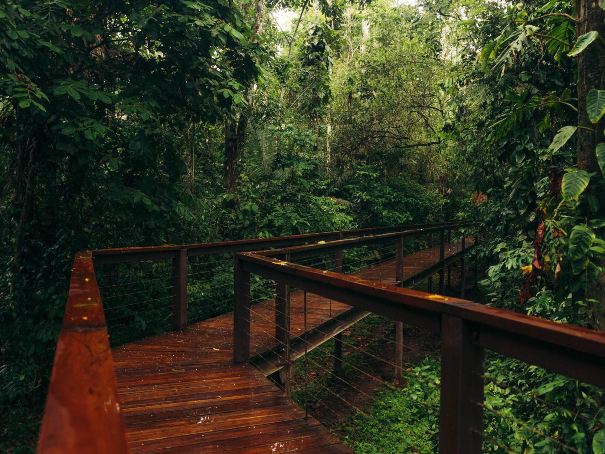 Tambopata Research Centerヴィラ エクステリア 写真