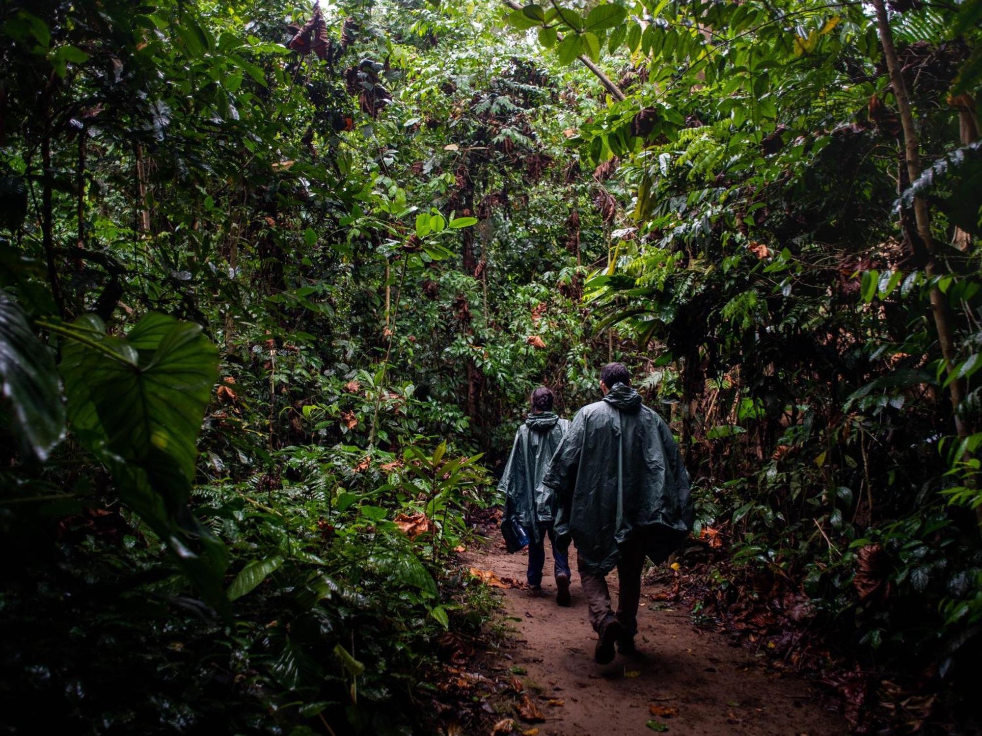 Tambopata Research Centerヴィラ エクステリア 写真