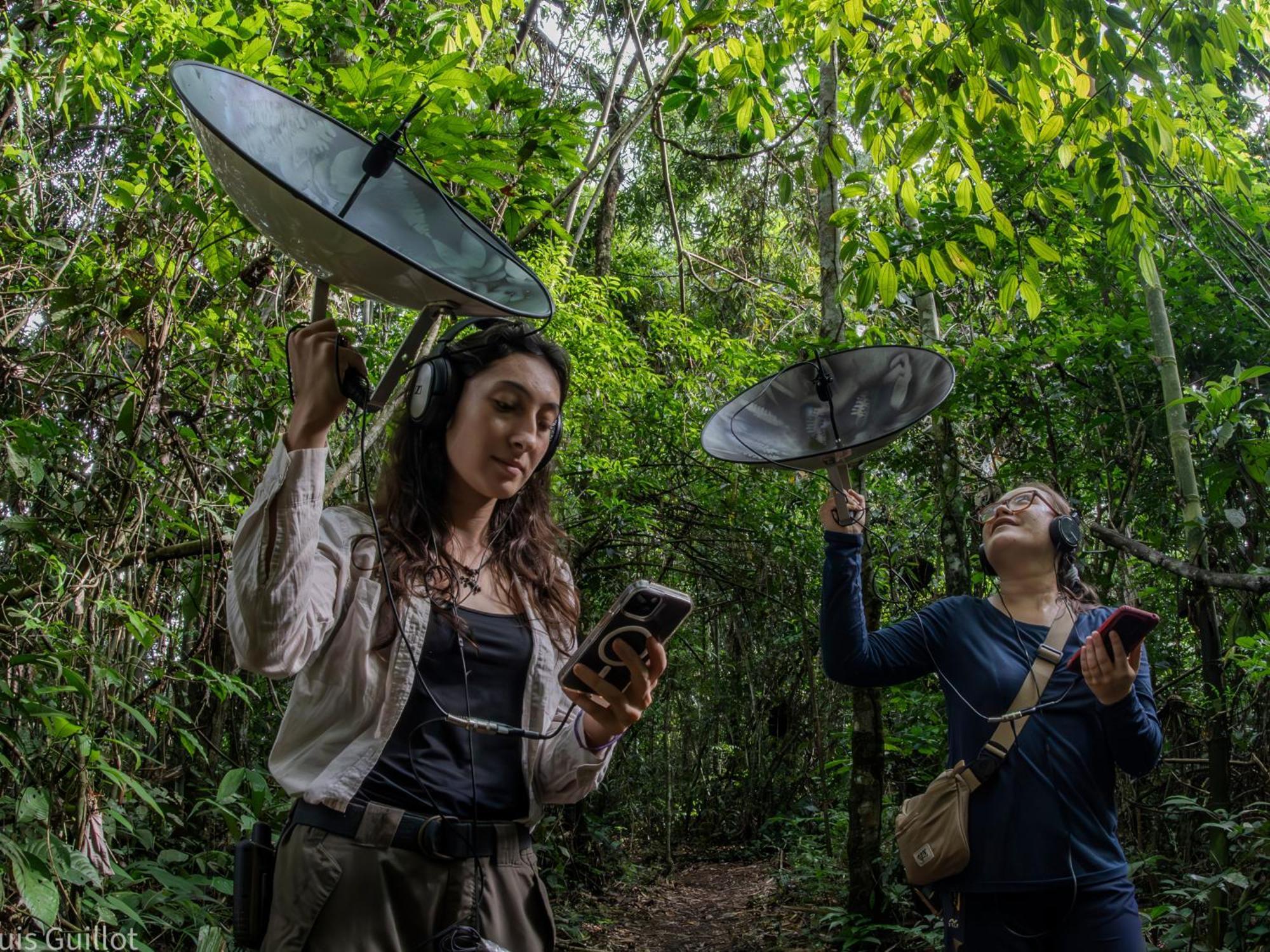 Tambopata Research Centerヴィラ エクステリア 写真